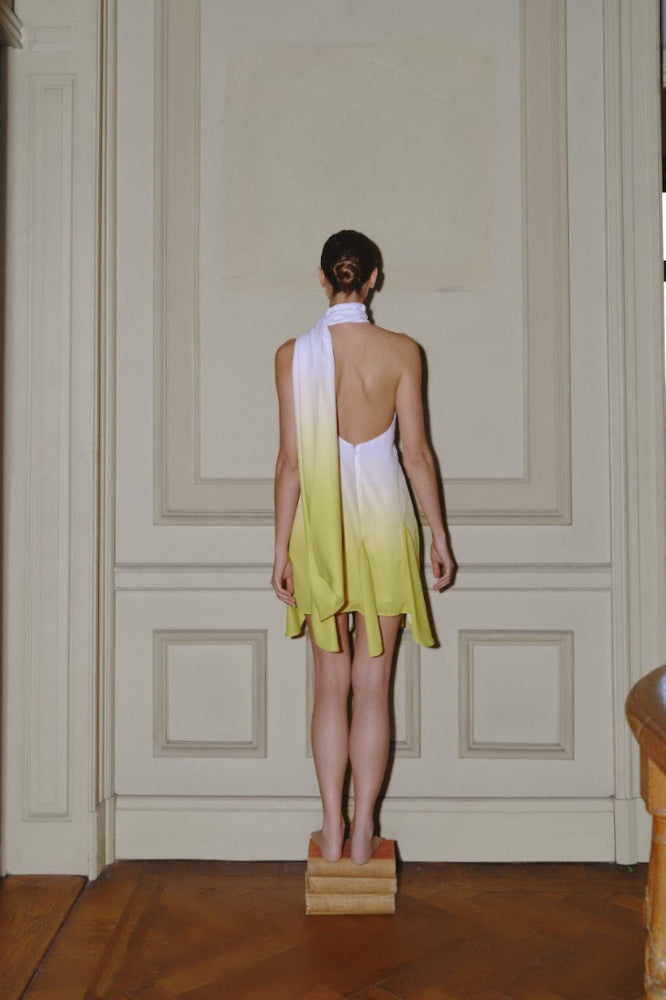 Ari Mini Dress-Golden Milk