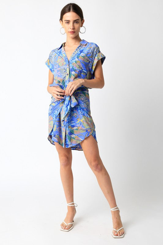Nelly Shirt Dress