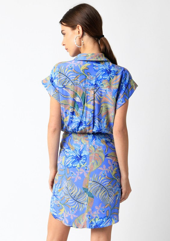 Nelly Shirt Dress