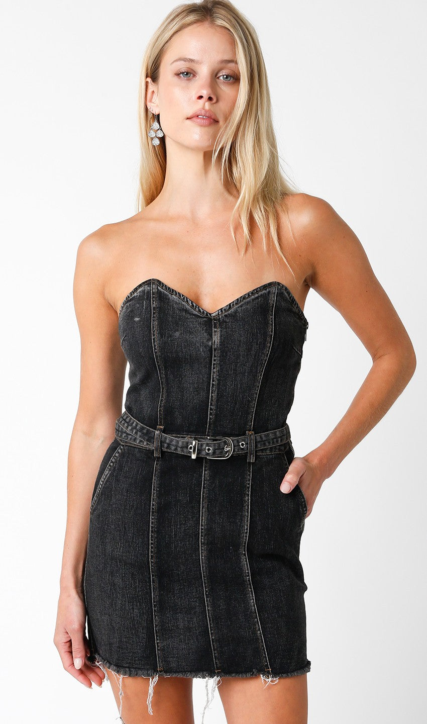 Didi Denim Dress