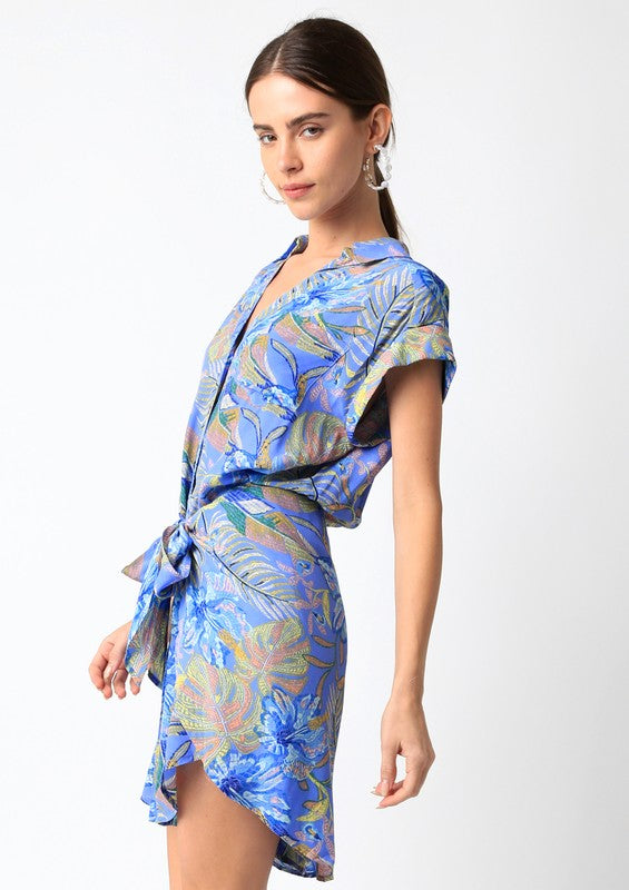 Nelly Shirt Dress
