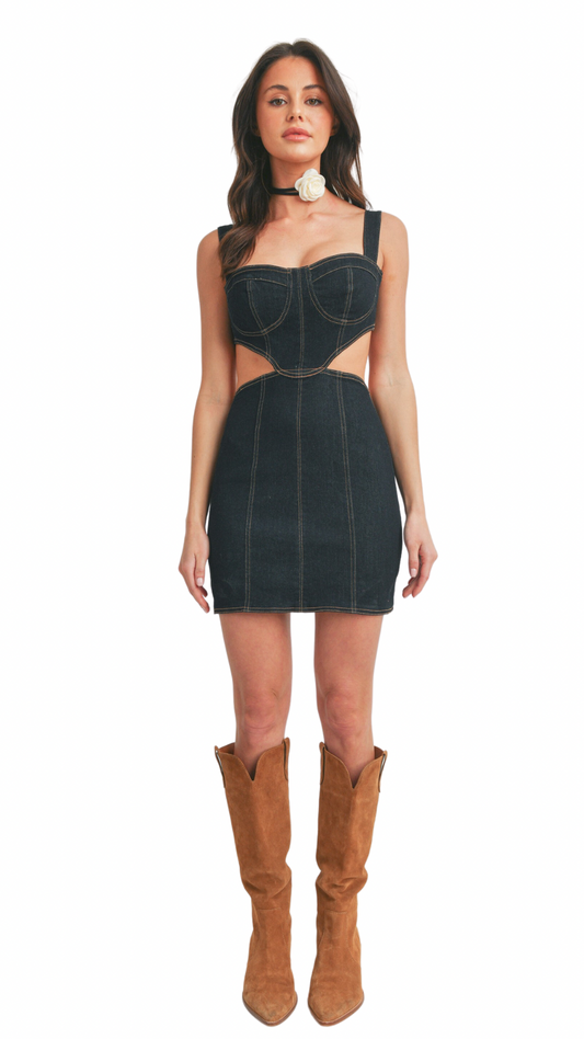 Serene Denim Dress