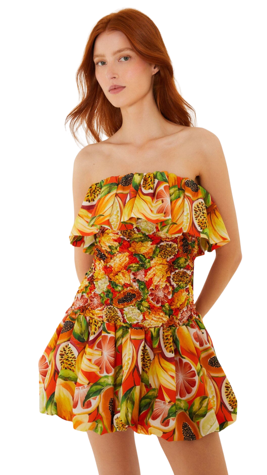 Multicolor Fruit Garden Red Smocked Balloon Mini Dress