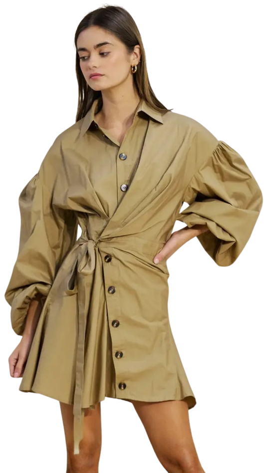 Savannah Shirt Dress