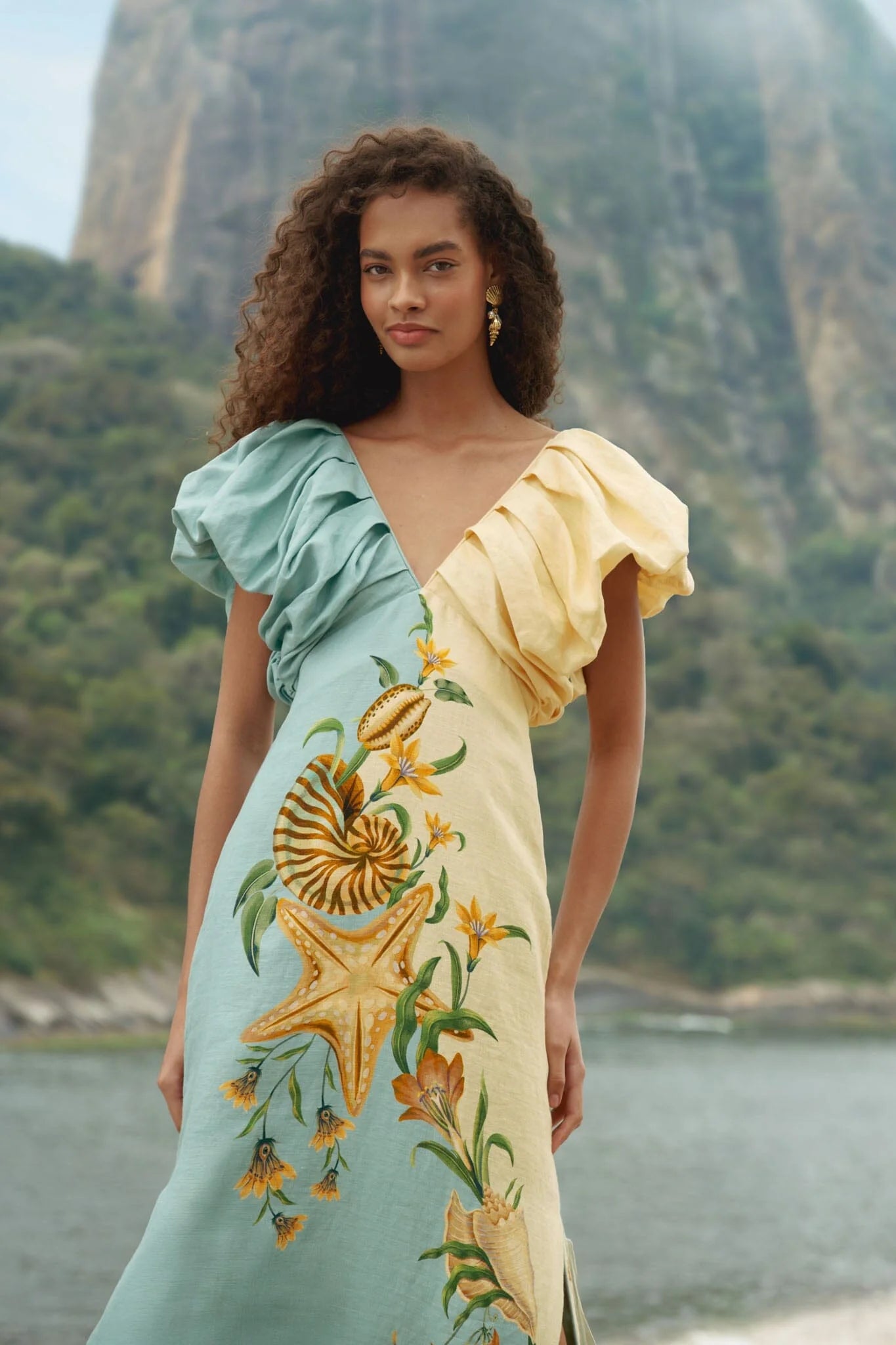 Bicolor Marine Garden Puff Sleeve Midi Dress