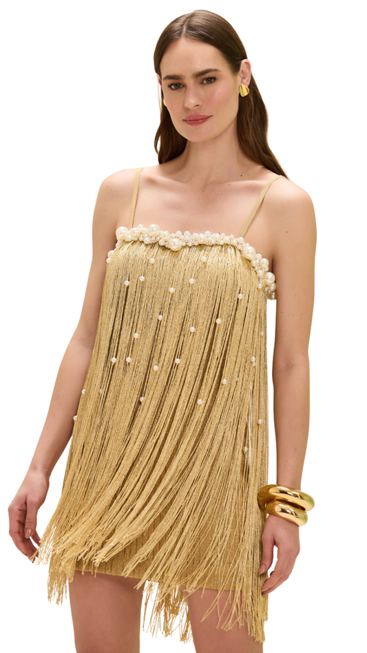 AUREA CROCHET MINI DRESS