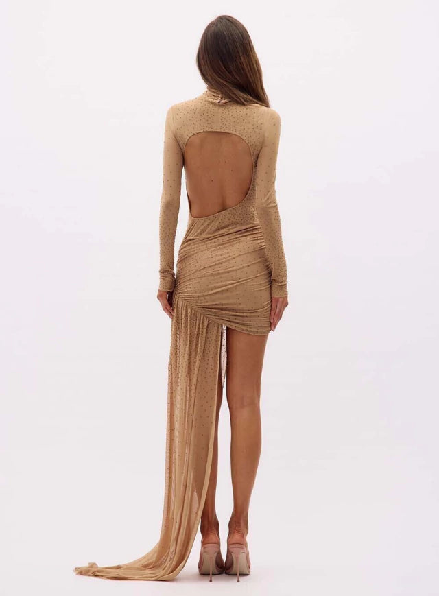 Tulle Dress with Iris Application
