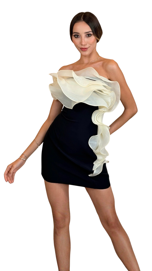 Monochrome Ruffle Mini Dress
