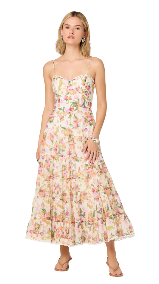 Lianna Floral Bustier Maxi Dress