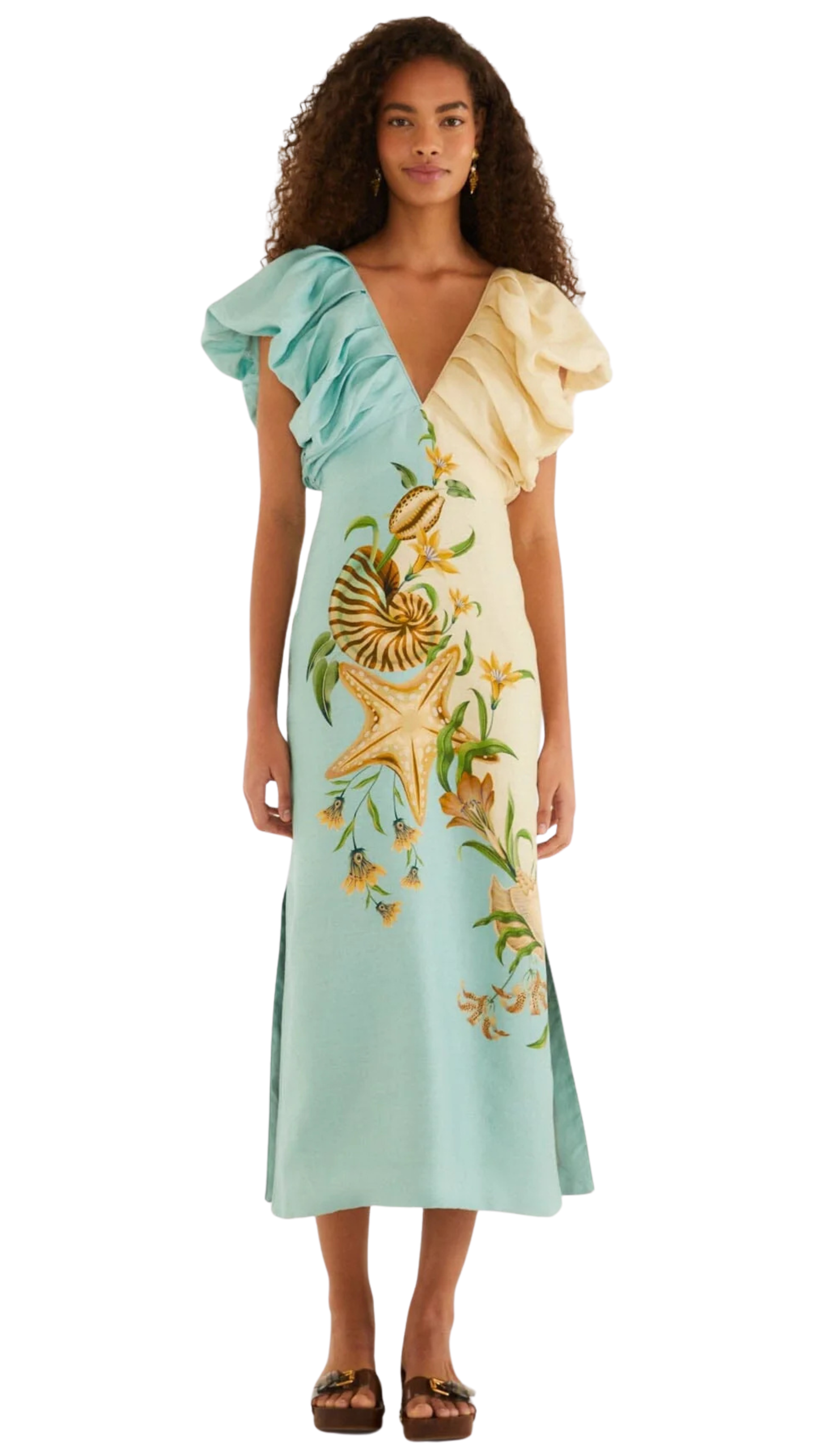 Bicolor Marine Garden Puff Sleeve Midi Dress