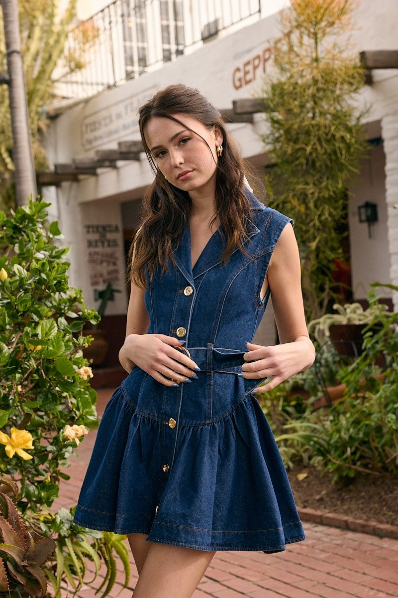Cynthia Denim Dress